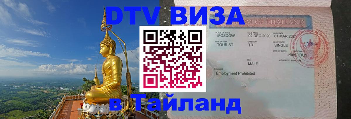 Оформление DTV визы под ключ: стоимость и тарифы, только загранпаспорт - 20.11.2025 
